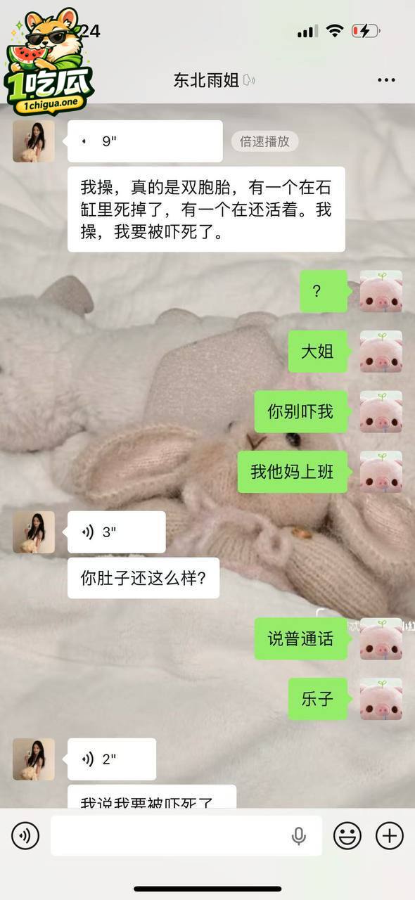 图片3
