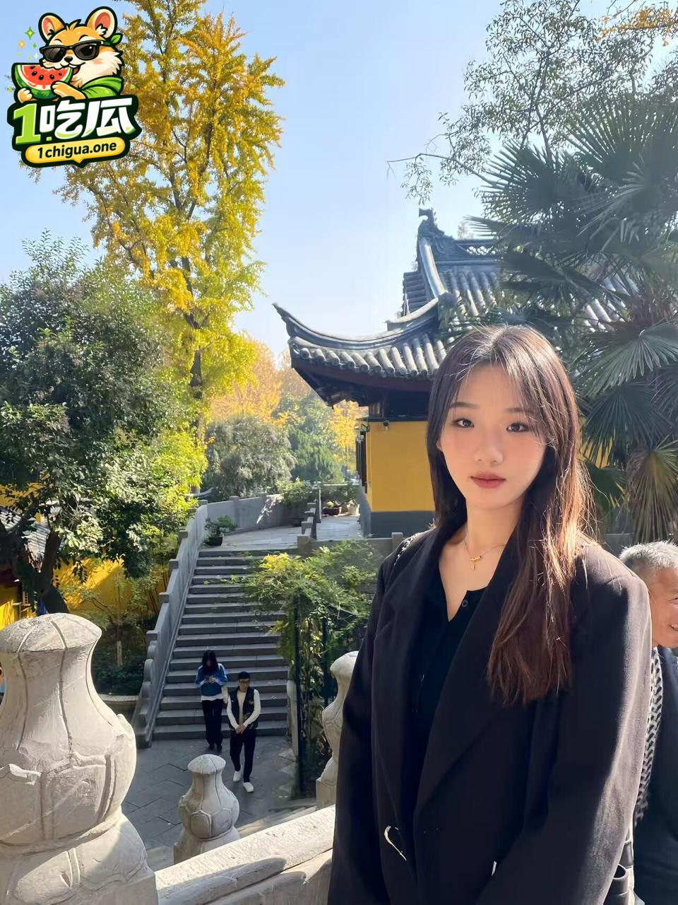 图片1
