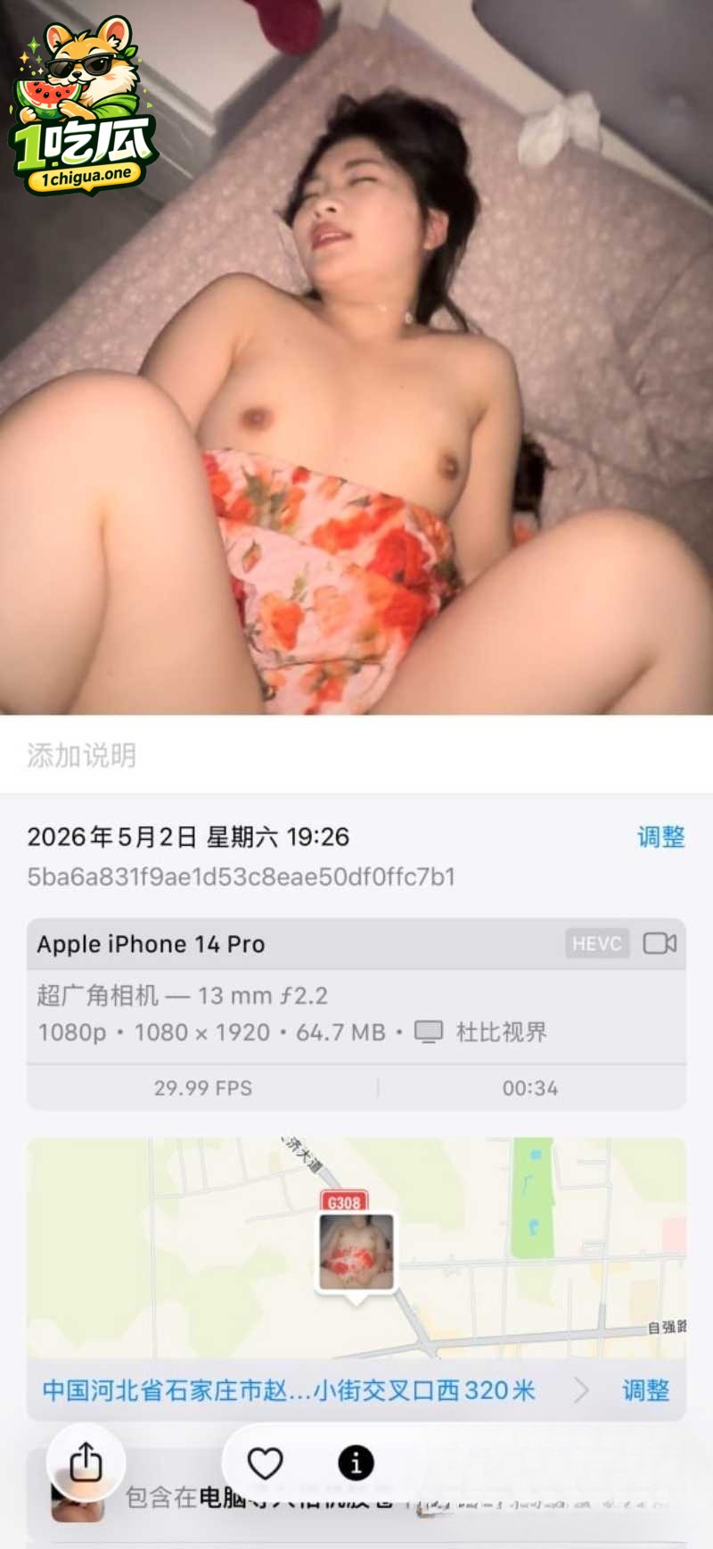 剧情设定：