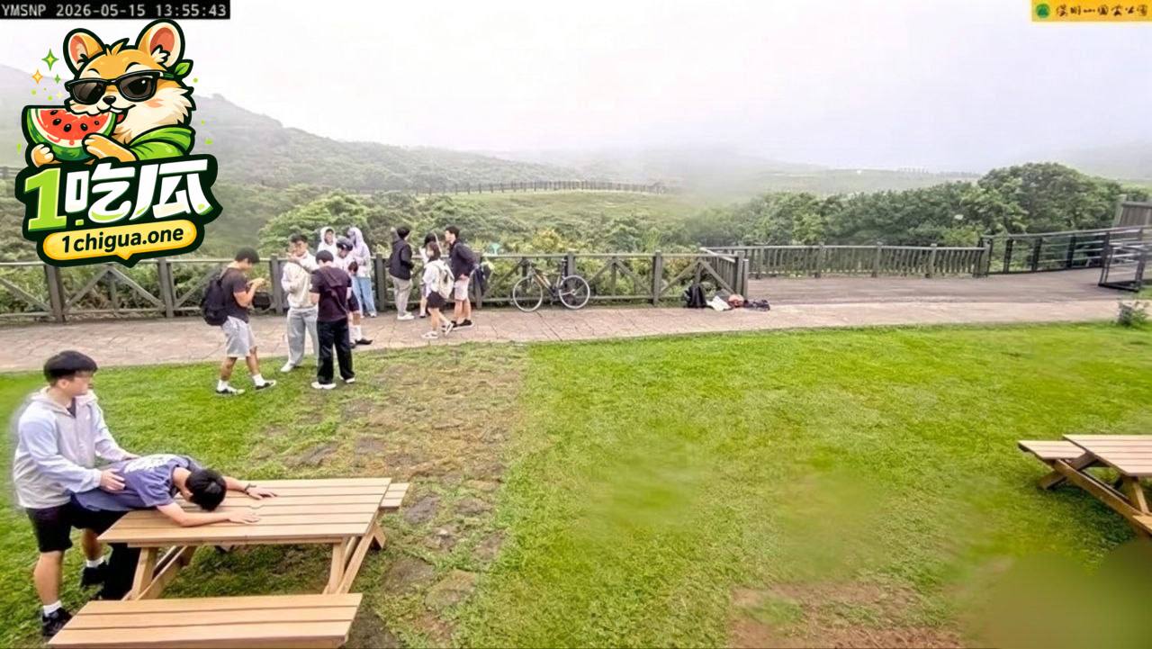 图片4