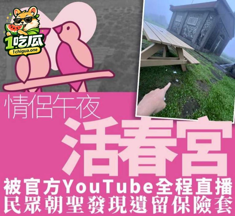 图片1