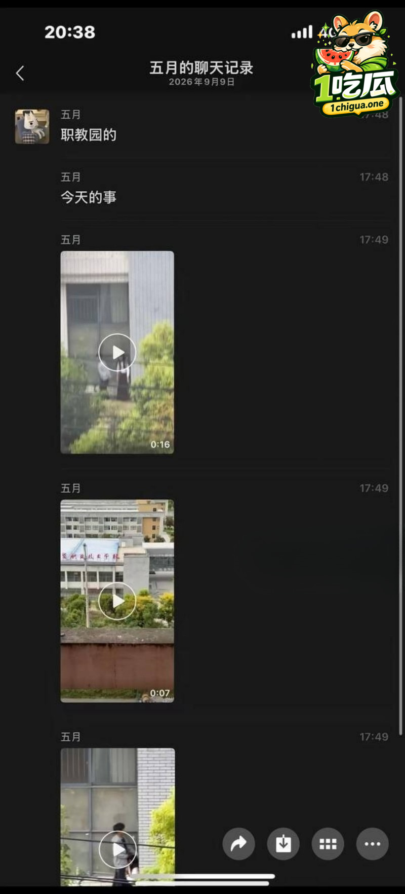 视频疯传网友跪求