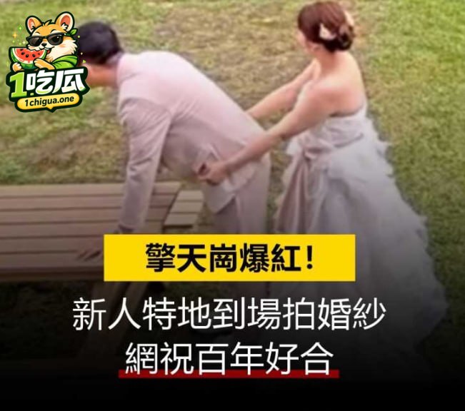 图片3
