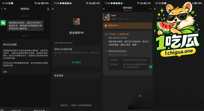 双重审核短暂崩盘