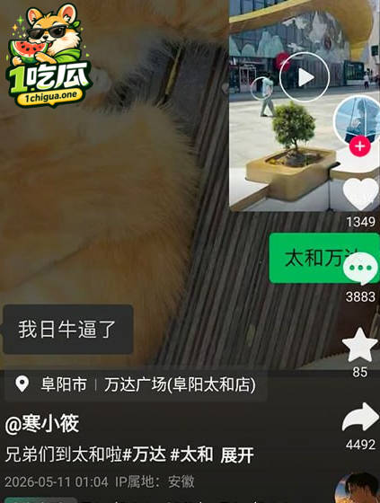 图片2